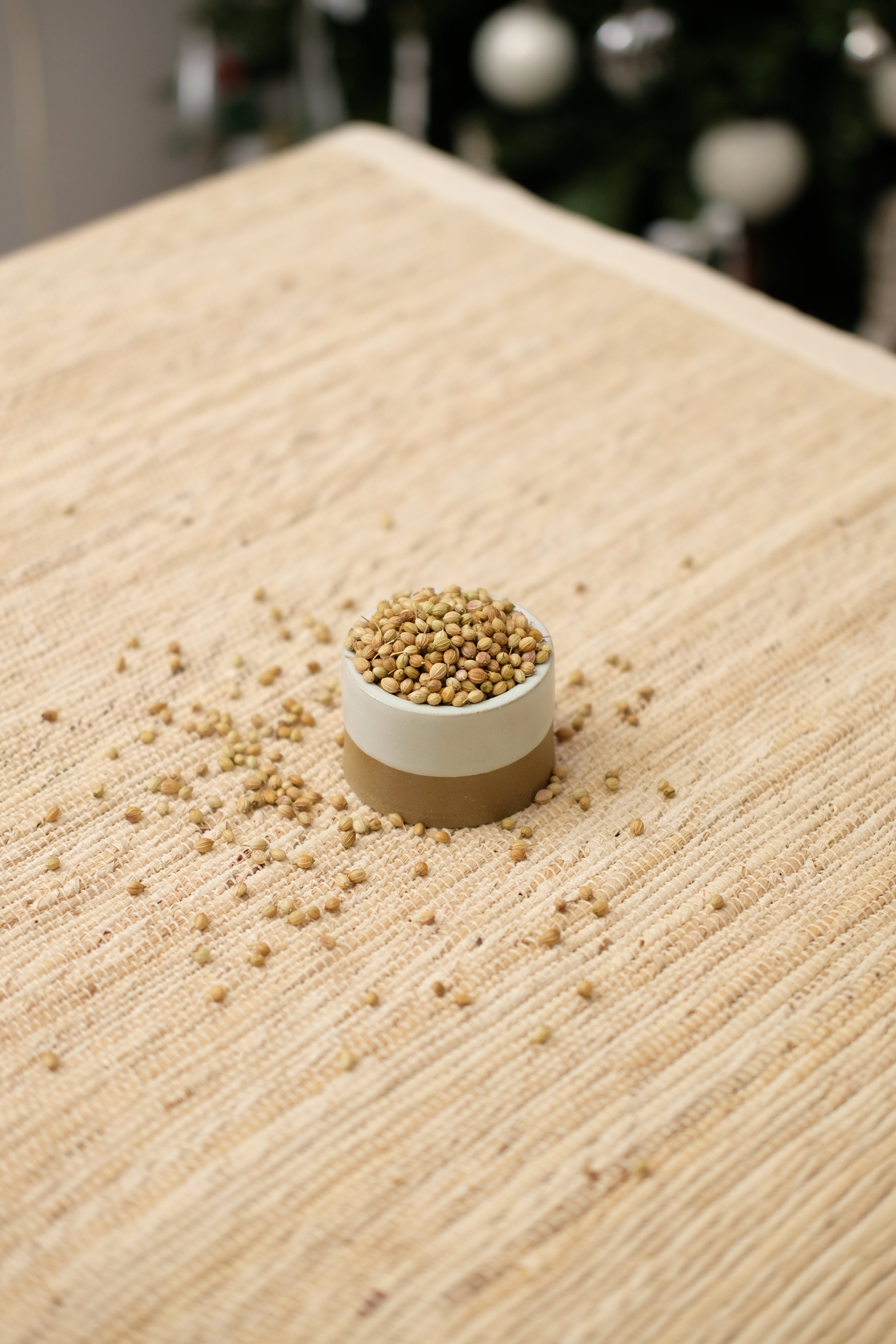 Coriander Seeds