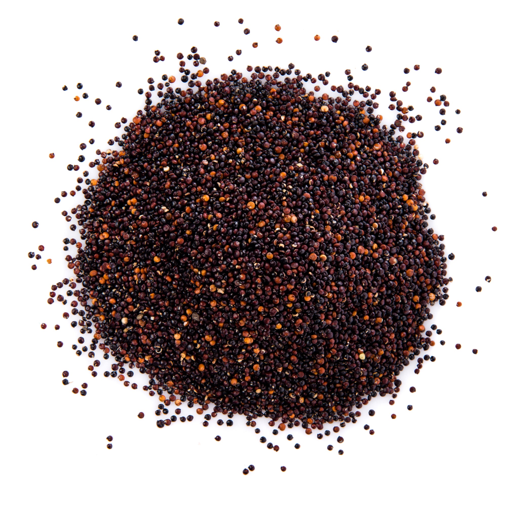 Mustard Seeds