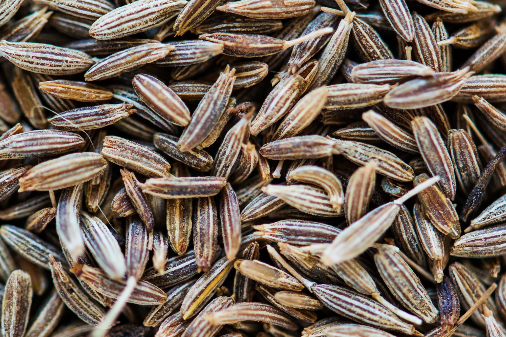 Cumin