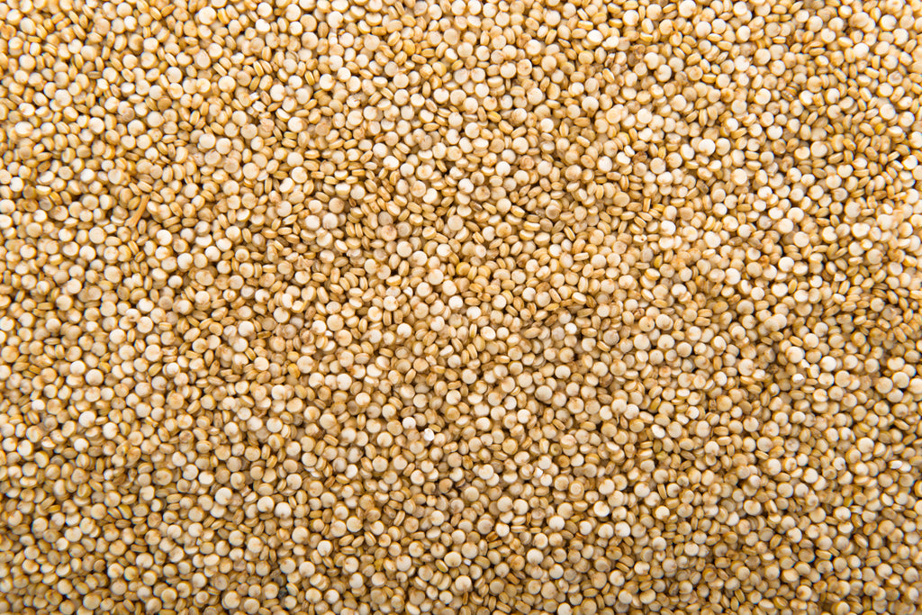 Coriander Seeds